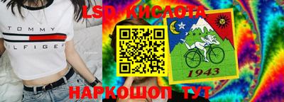 сатива Ставрополь