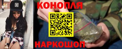 сатива Ставрополь