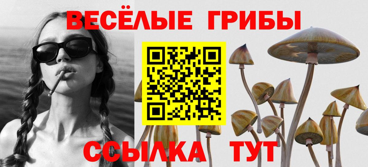 Галлюциногенные грибы Magic Shrooms  Вход с VPN  Орехово-Зуево 